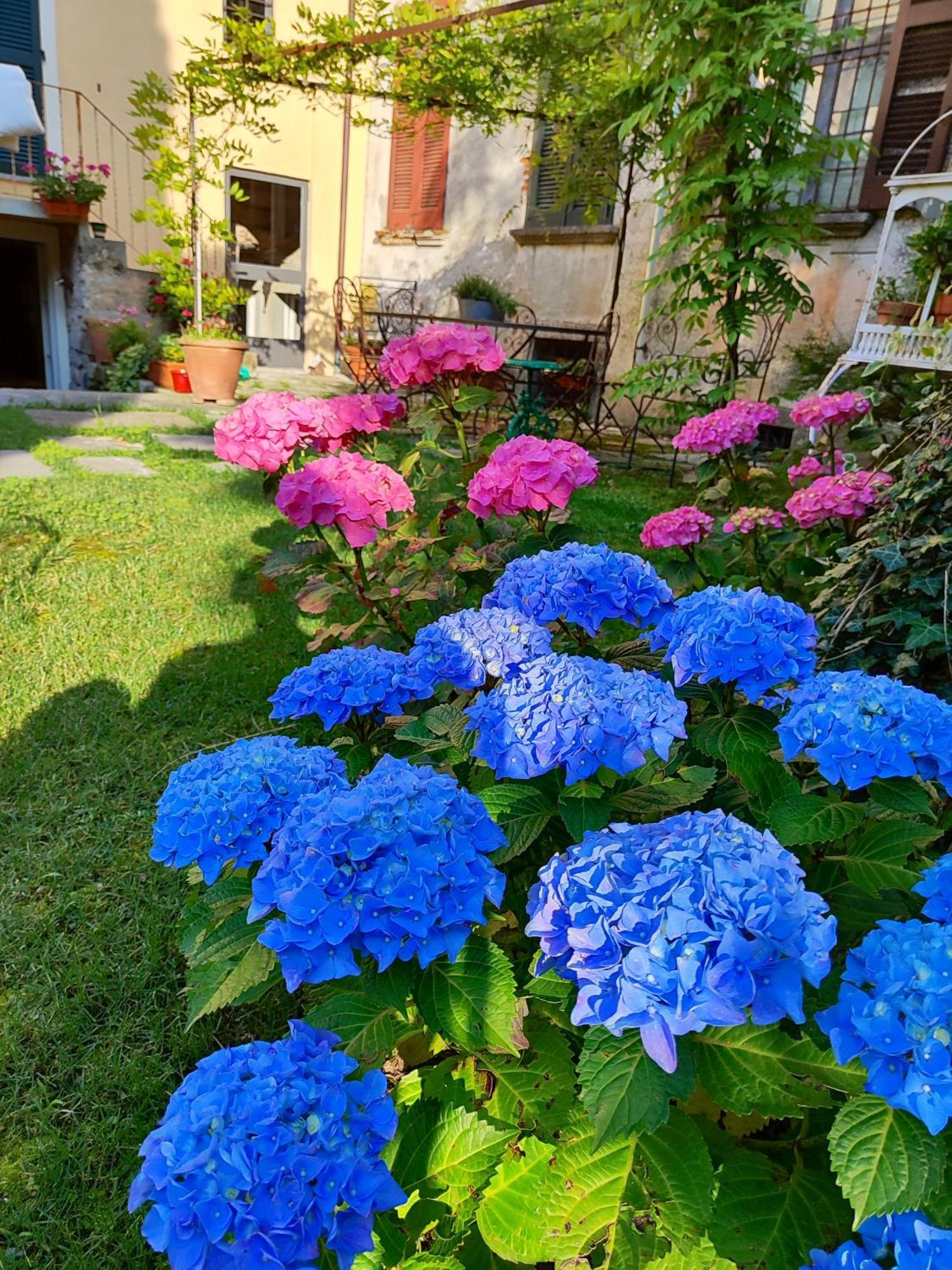 Casa Lumaca Bed & Breakfast Tremezzo Exterior foto