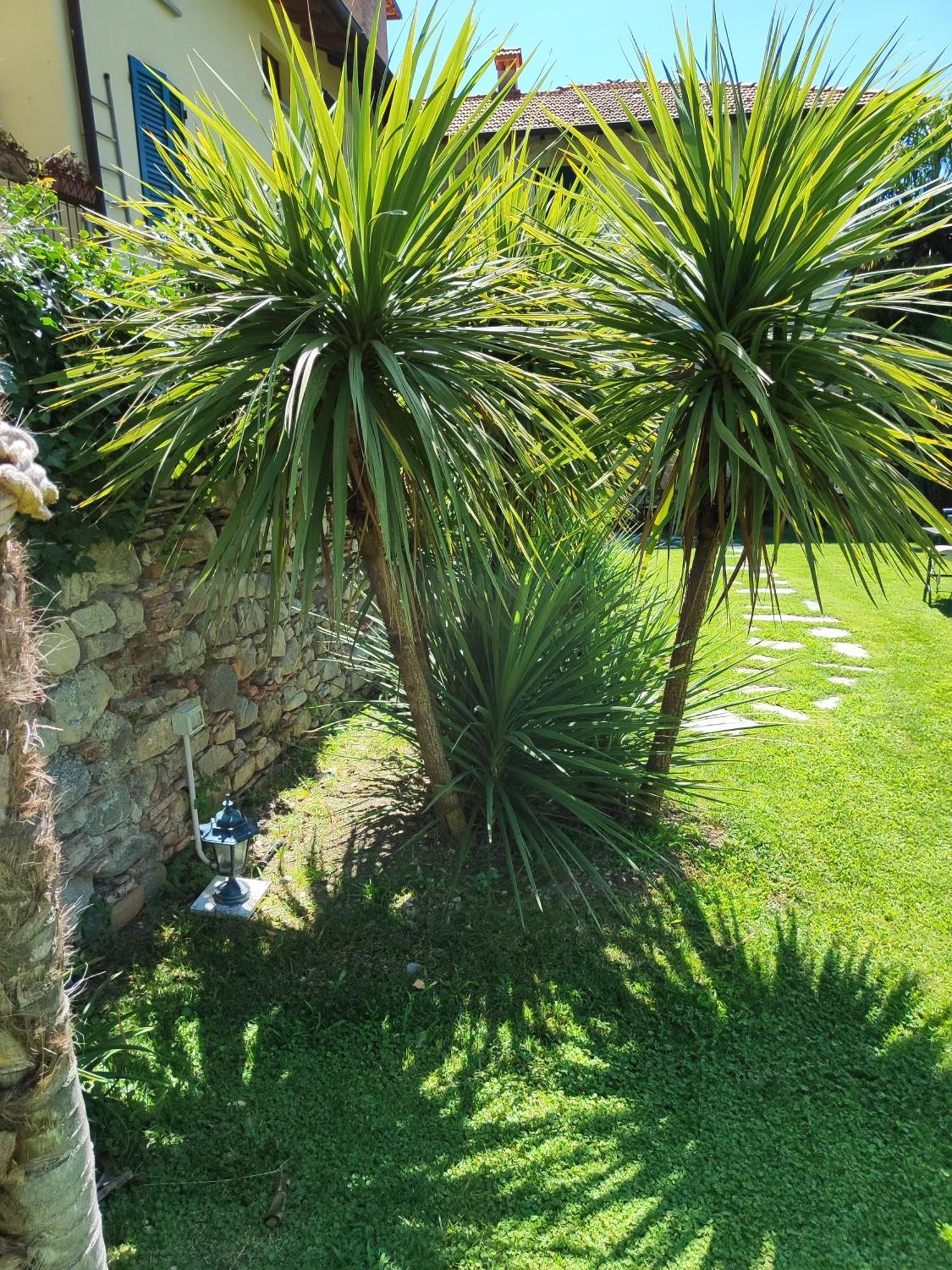 Casa Lumaca Bed & Breakfast Tremezzo Exterior foto